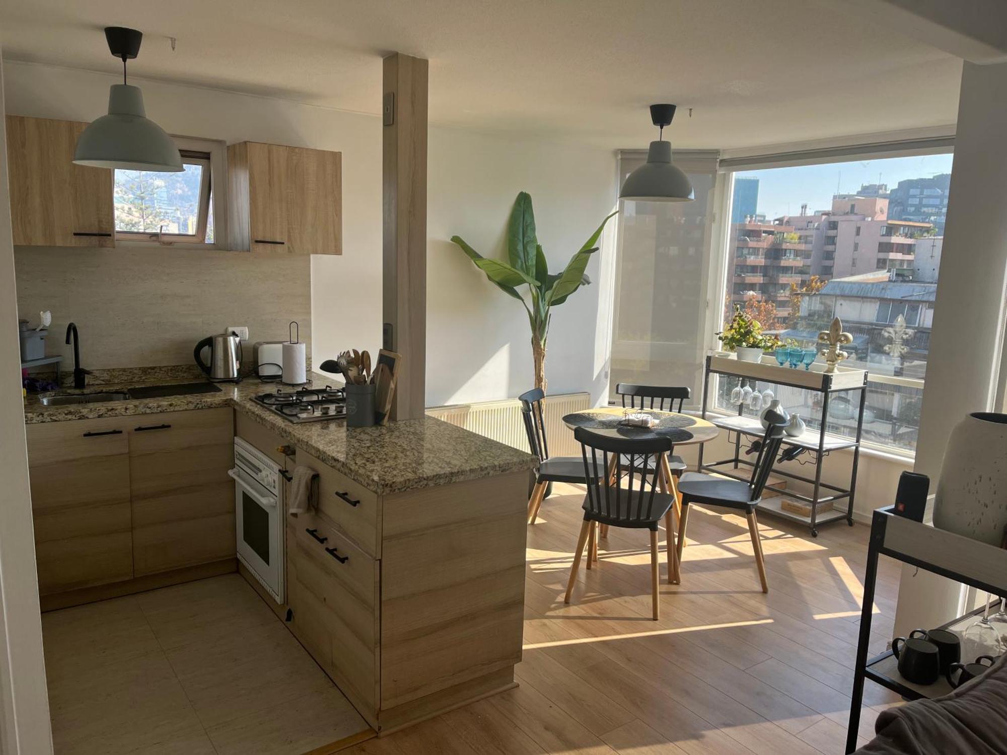 Duplex Clover In Providencia * Santiago
